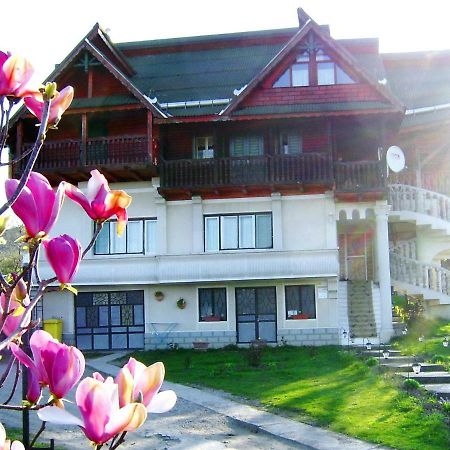 Pensiunea Amethyst Surdesti  Esterno foto