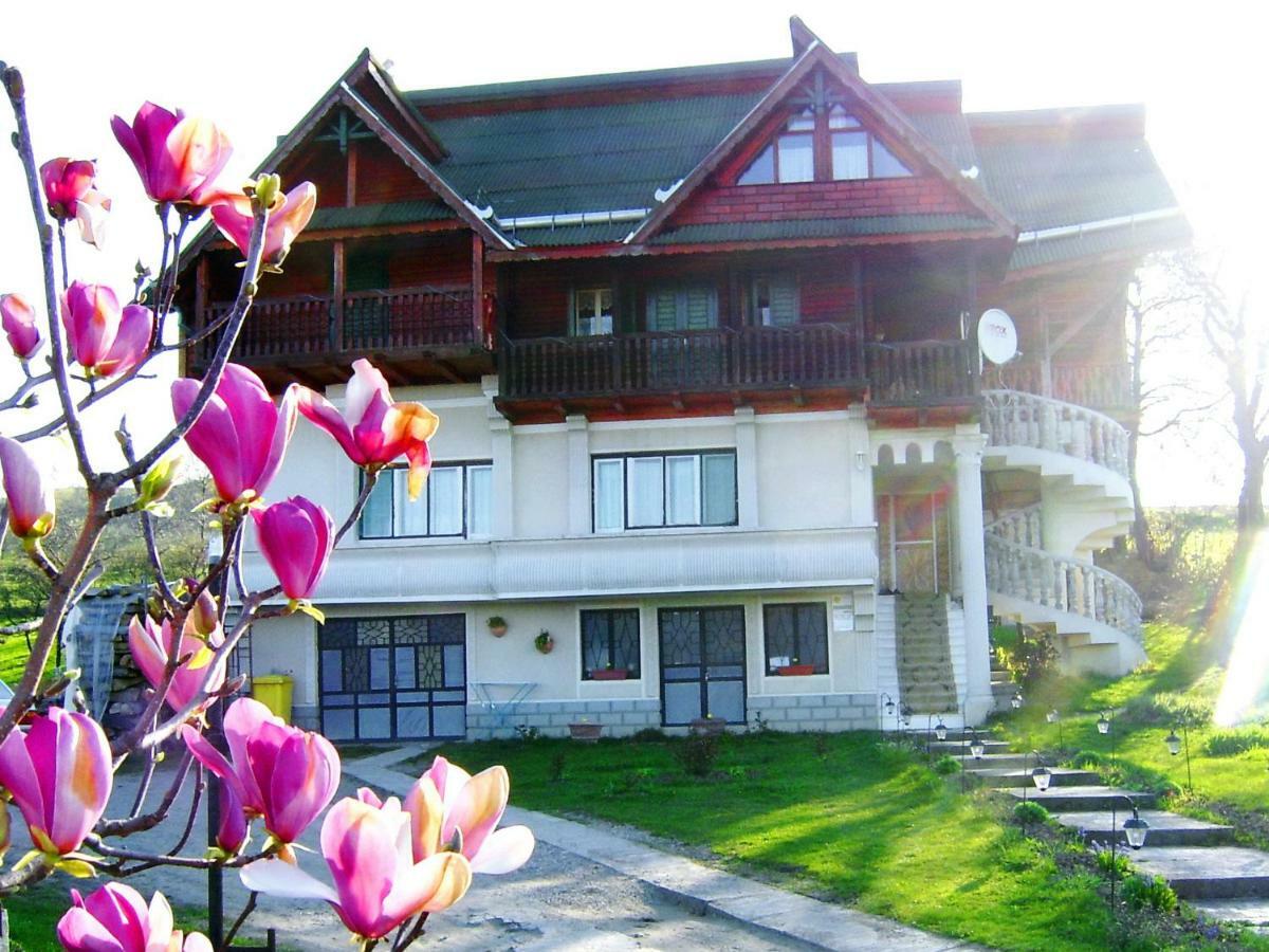 Pensiunea Amethyst Surdesti  Esterno foto